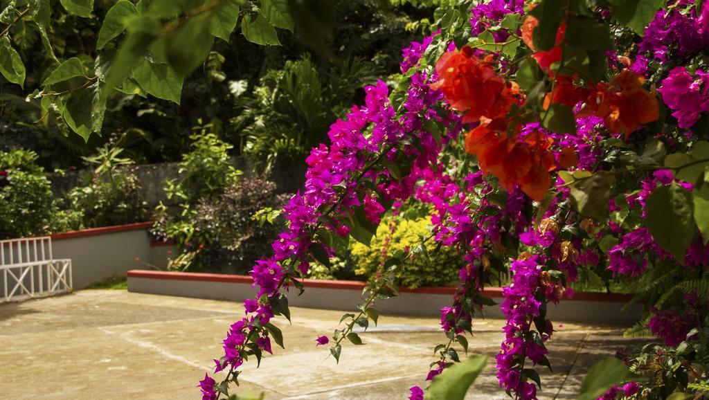 Classique International in Dominica Marigot Chambre photo