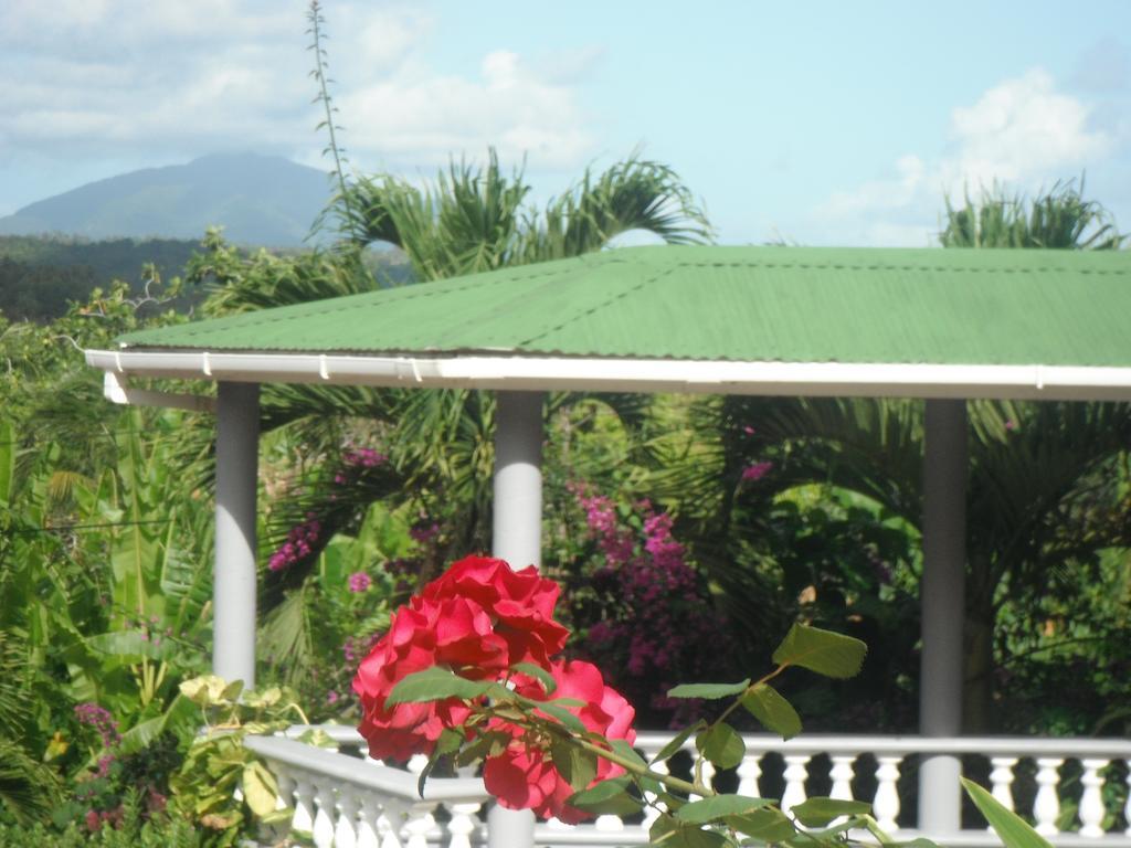 Classique International in Dominica Marigot Chambre photo