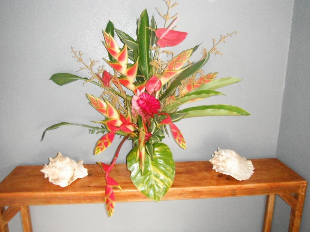 Classique International in Dominica Marigot Chambre photo